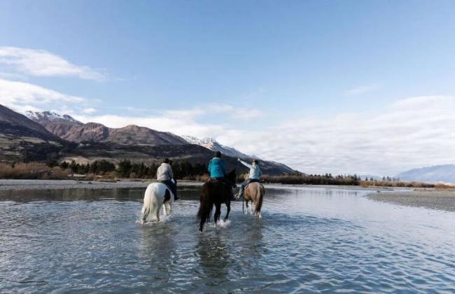 Horse Trek Glenorchy Credit: High Country Horses