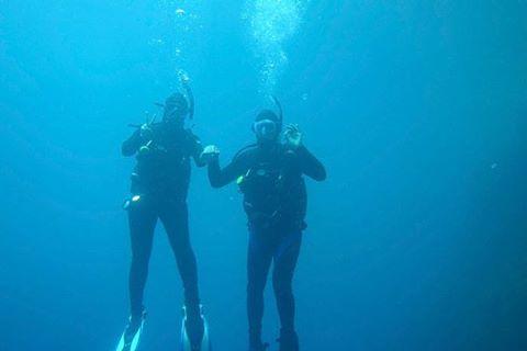 Diving New Zealand