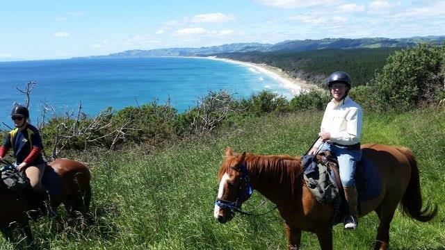 Horse Riding New Zealand