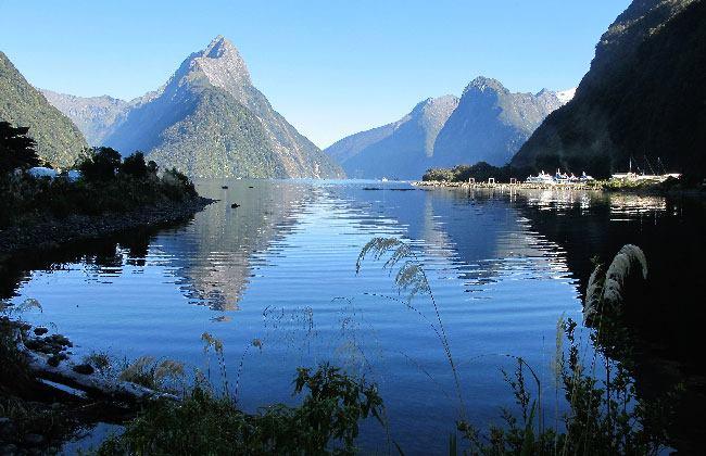 Milford Sound in the Morning