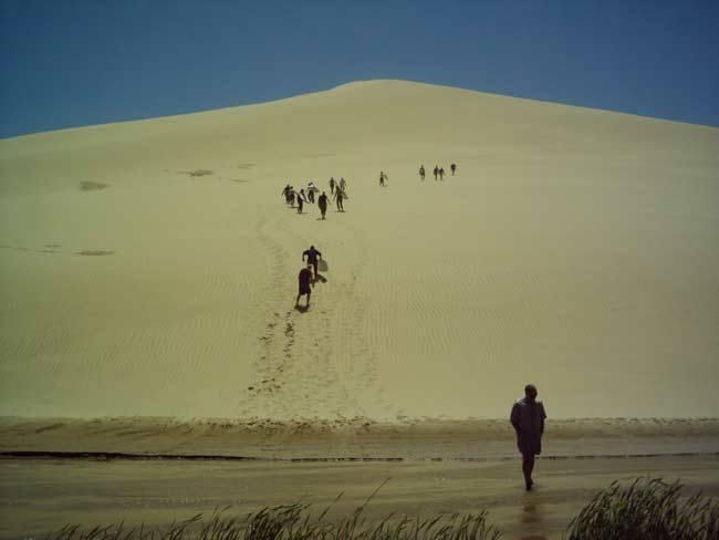 Northland Sand Dunes
