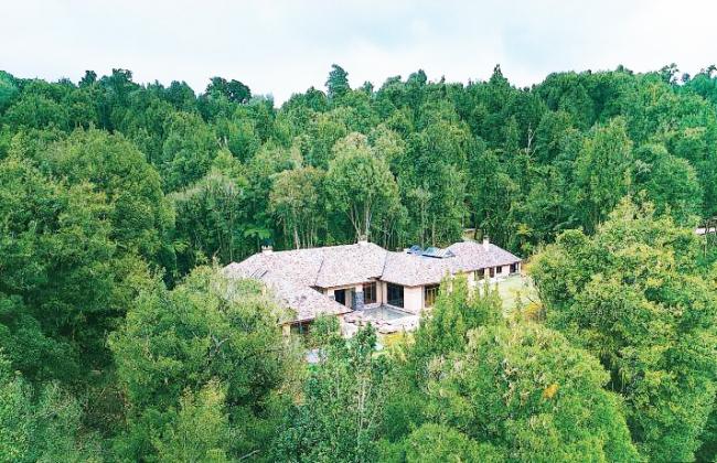 Tree Tops Lodge