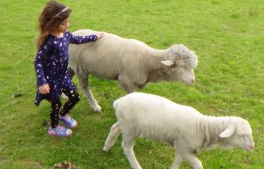 Farm Tour