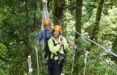 canopy Tours
