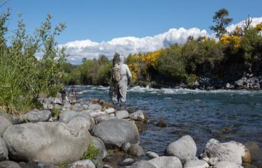 Tongariro River Fly Fishing