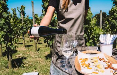 Waiheke Island Credit: Ananda Wine Tours
