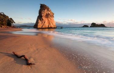 Coromandel