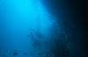 Diving deep NZ
