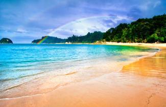 The Abel Tasman is a family friendly park, a swing in native tree's provides fun for all.