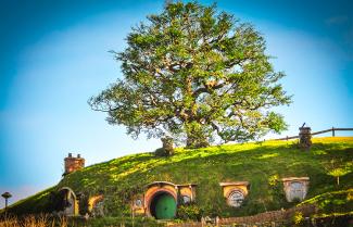 Hobbiton in Matamata