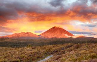 Tongariri Nat Park