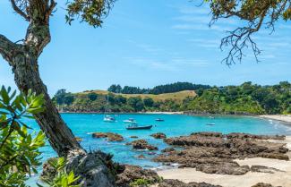 Auckland Beaches 