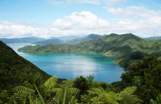 Marlborough Sounds