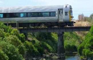 Silverfern Train