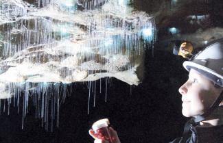 Waitomo Caves Spell Bound