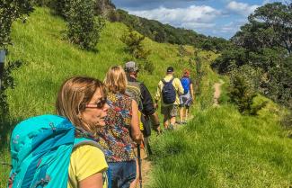 Hiking Waiheke Island