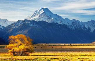 Mt Cook