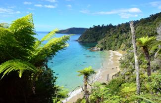 Stewart Island