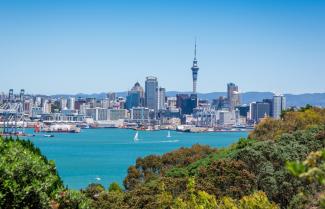 Auckland Skyline