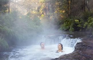 Geothermal Natural Hotpools Rotorua