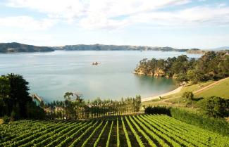 Waiheke Island