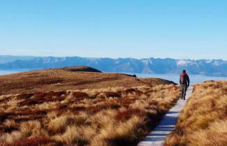 Kepler Track