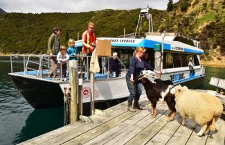 Pelorus Mailboat Cruise