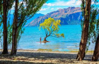 wanaka