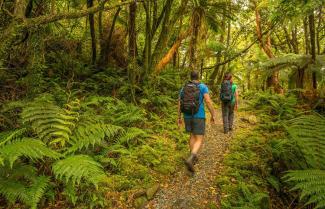 Milford Track