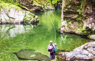 New Zealand Fly Fishing Tour