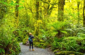 Fiordland Hiking