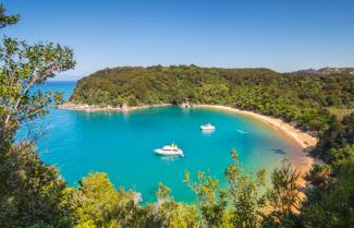 Cruise Abel Tasman