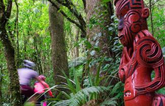 The Timber Trail