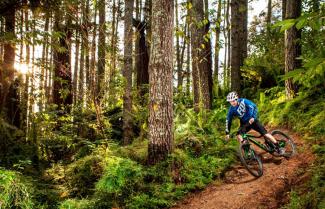 Woodhill Forest Auckland