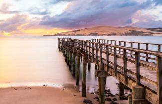 Hokianga Harbour