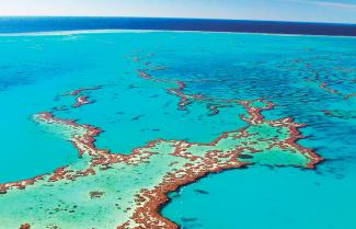 Great Barrier Reef Island 