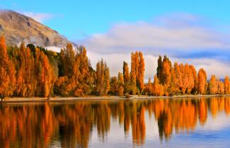 Lake Wanaka 