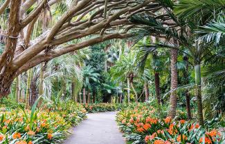 Sydney Botanic Gardens