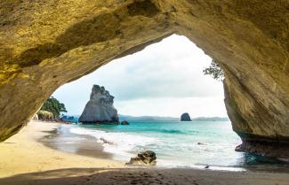 Coromandel Cove