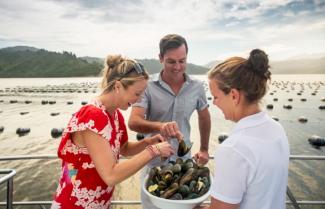 marlborough Wine Tour