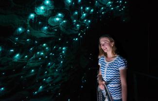 Waitomo Caves