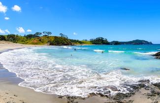 Beach at the Coromandel