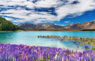 Tekapo