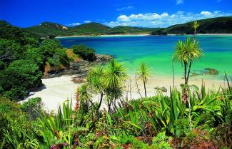 Bay of Islands