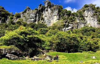 Trollshaws Forest