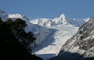 Fox Glacier icy view