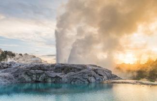 Geothermal scene with geyser erupting at Rotorua