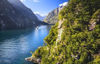 Milford Sound Cruise