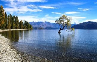 Wanaka