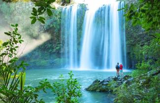 Whangarei Falls